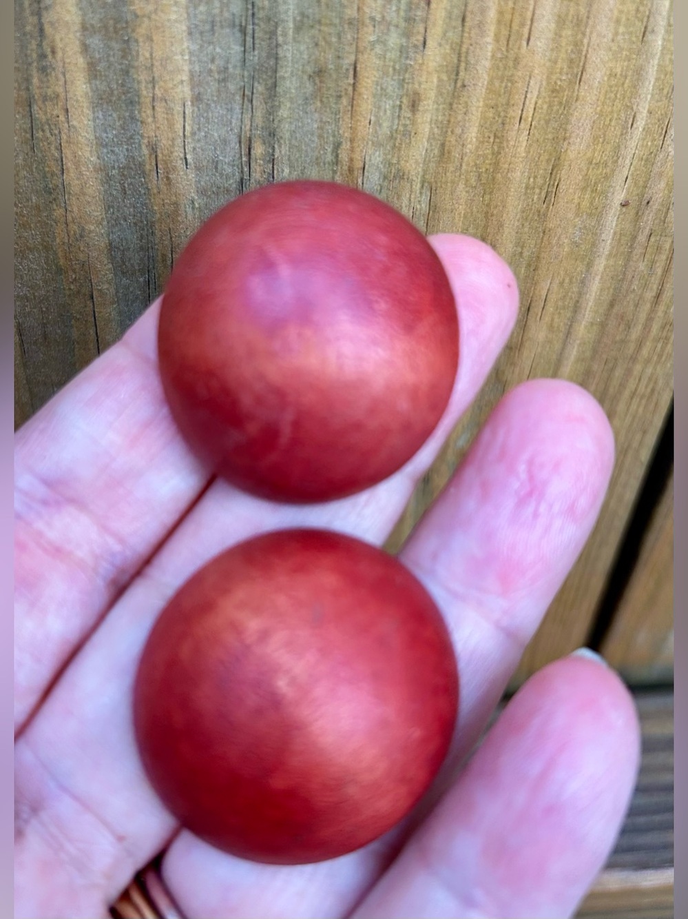 Vintage Wooden Earrings Mushroom Caps Minimalist Round